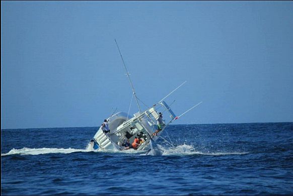 Hooked marlin sinks boat!